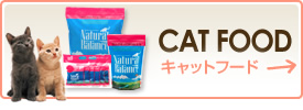 CAT FOOD-åȥա-